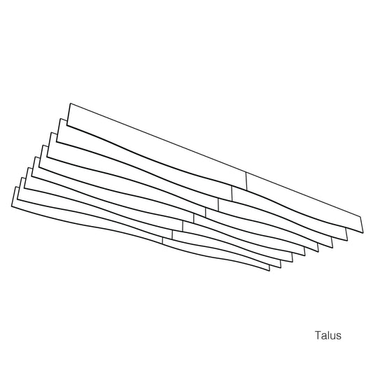 Frontier™ Talus Acoustic Fins